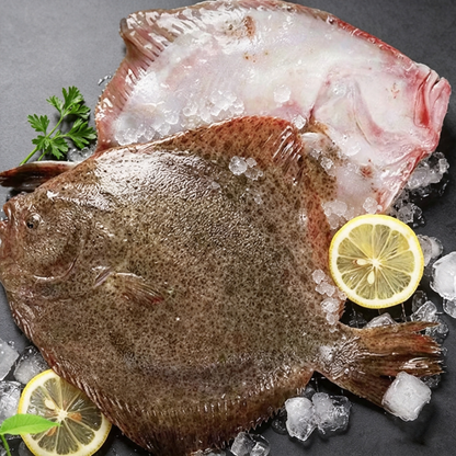 Halibut