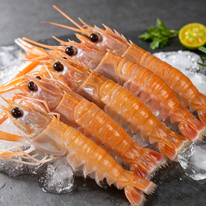 NZ Scampi
